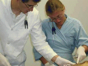 Collecting industrial hygiene air samples on college students during cadaver dissection
