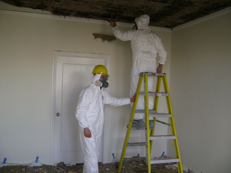 7 Important Facts that Most Mold Inspectors Will Never Tell You