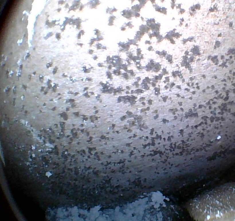 Image of mold