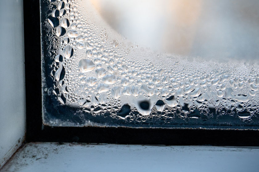 beads of water on window with mold in corner of window sill