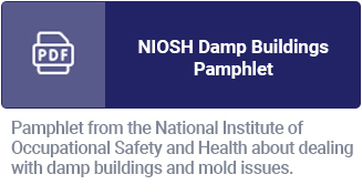 NIOSH Damp Buildings Pamphlet