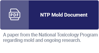 NTP Mold Document