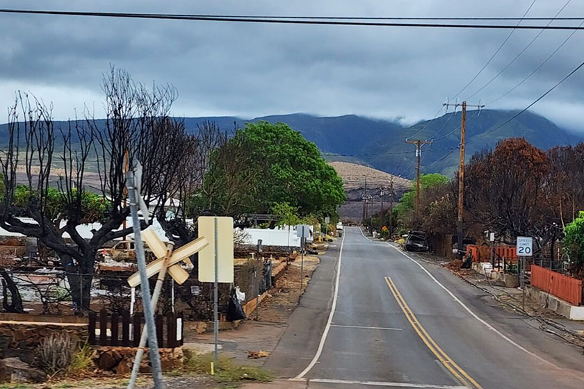 lots burned by fire to the left and right of highway stretching into the distance