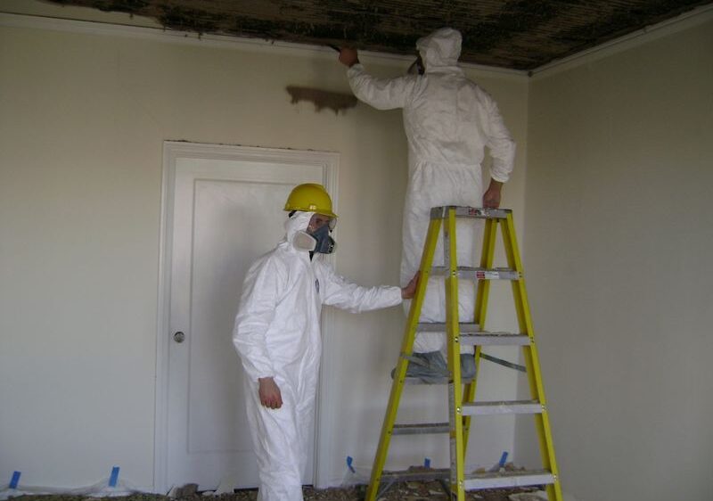 mold inspectors