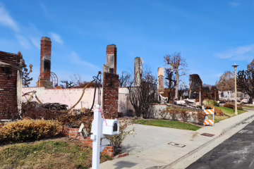 houses devastated by a wildfire