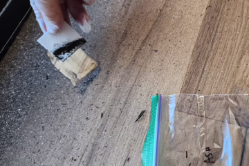 Post-Wildfire Contamination Testing